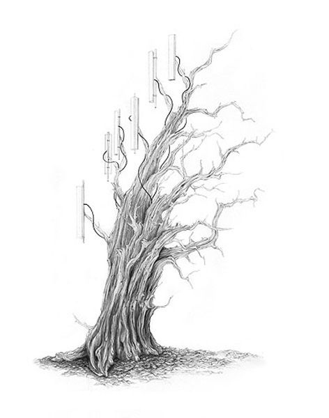 srie Cellular Transmission Trees - Bristlecone, 2010