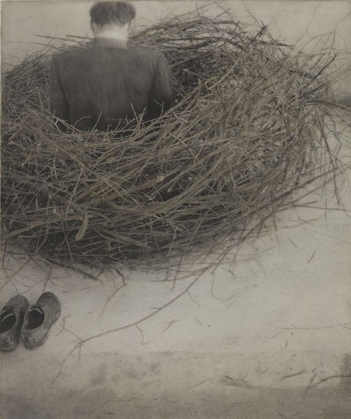 Study of Nest, 1994
